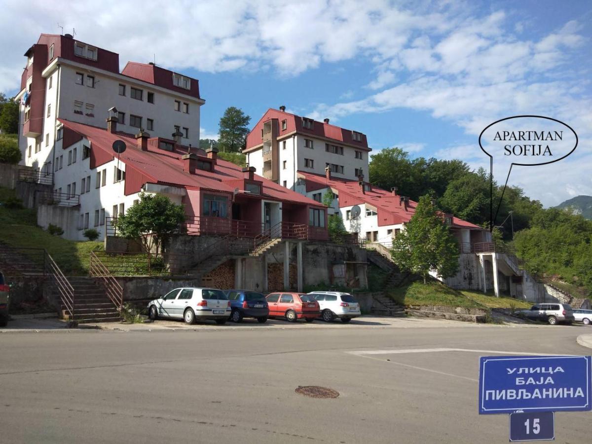 Apartman Sofija Pluzine Luaran gambar